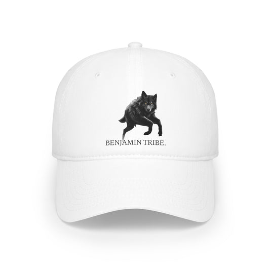 Low Profile Baseball Cap