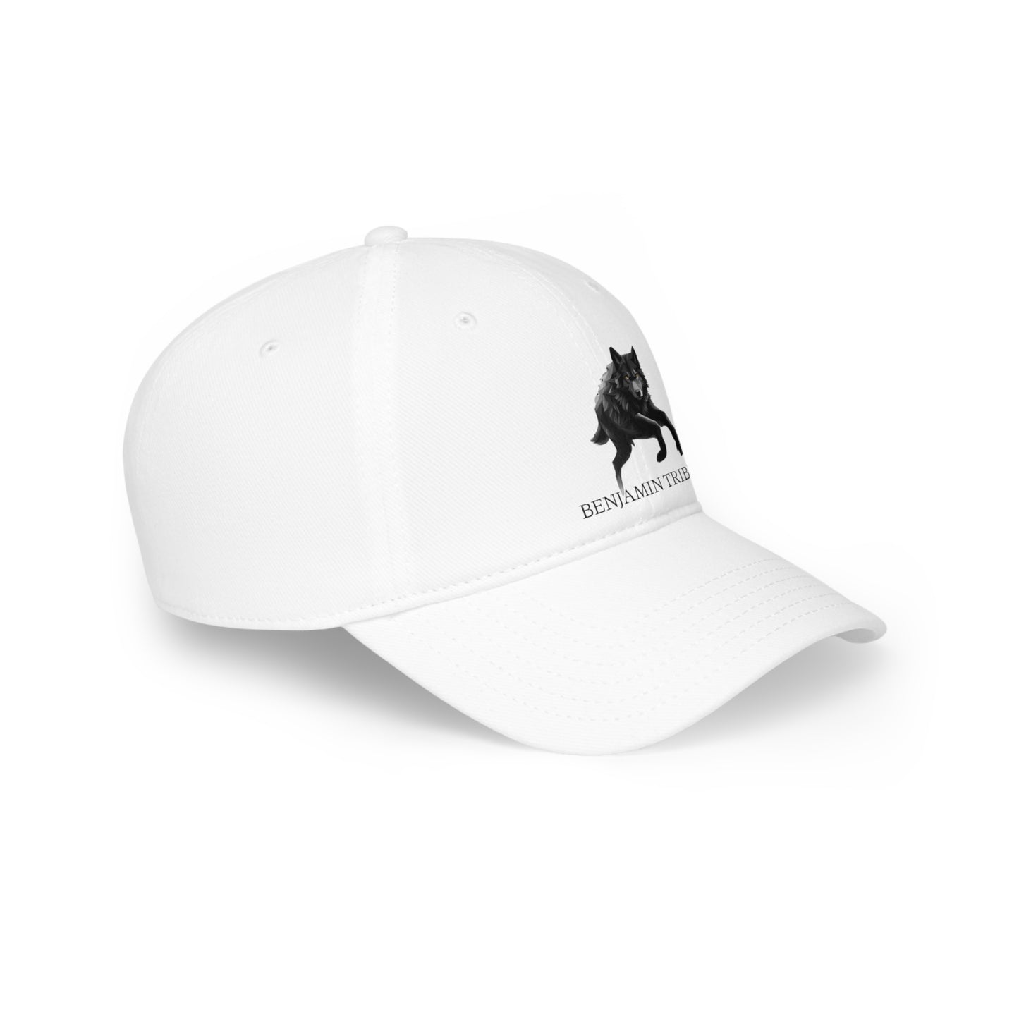 Low Profile Baseball Cap